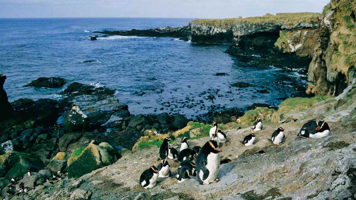 PenguinWorld